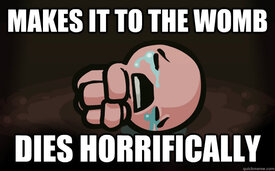 vpVWVcM.jpg