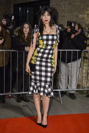 daisyl240215BZNimage003.jpg