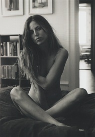 100_Great_Danes_Barbara_Gullstein_02.jpg