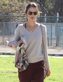4611171.jpg