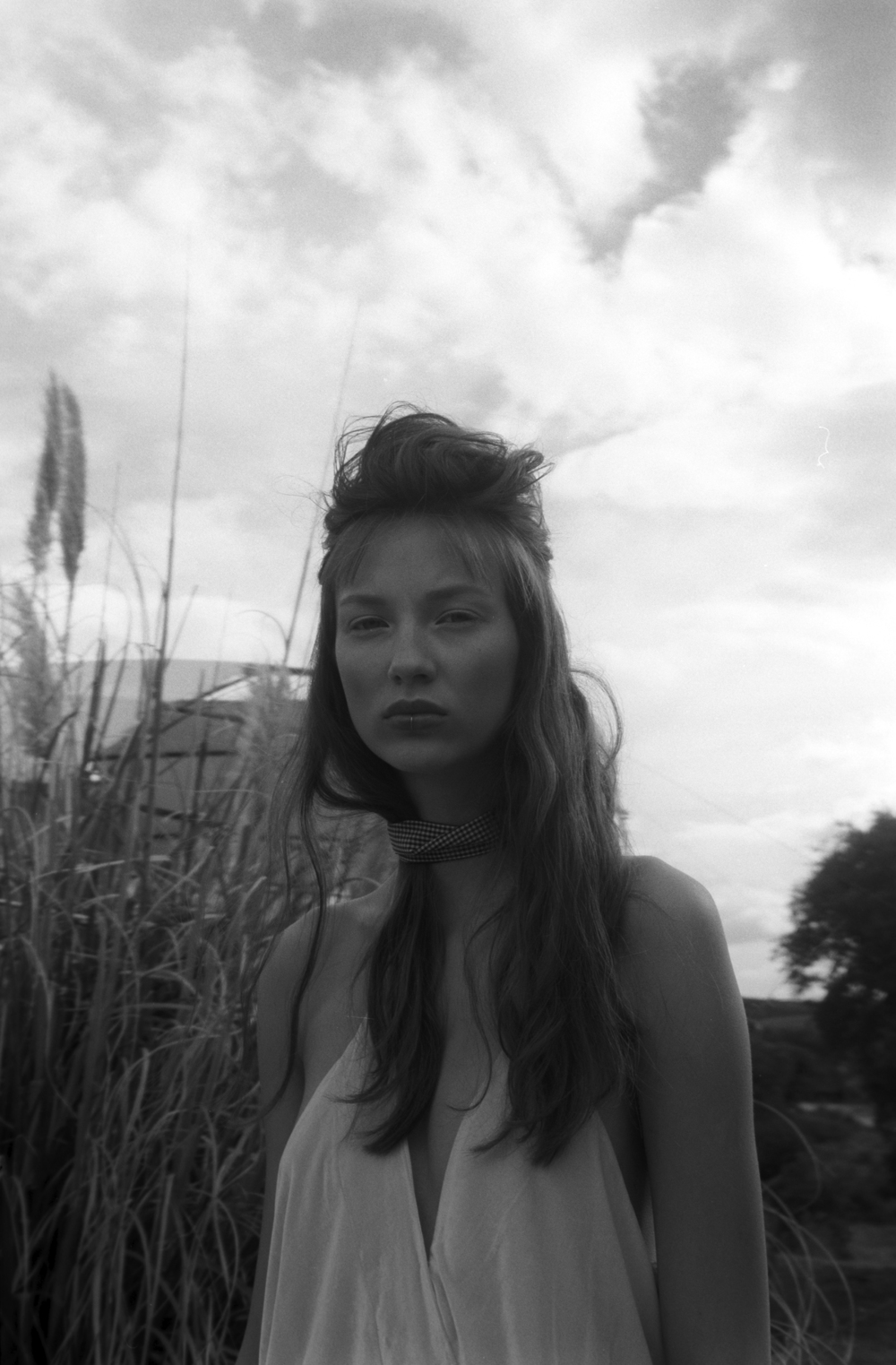 Polar lights casey and miguel