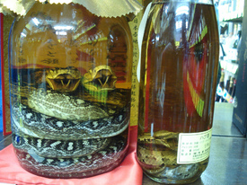 Image result for habu sake.jpg