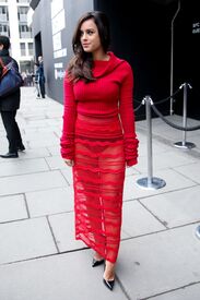 _gmf170217BZNimage11.jpg