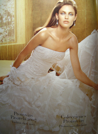 Pronoviasindex12007.jpg