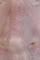 post-5621-0-1446015795-12461_thumb.jpg