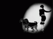 th_5bc52772580259.gif