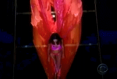 post-35528-1269915250_thumb.gif