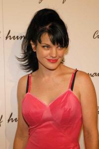 pauley_perrette_17_.jpg