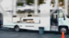 lily.gif