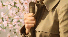 post-35528-1301538734_thumb.gif