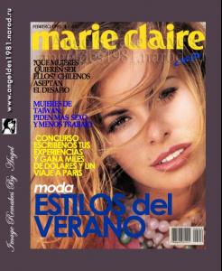 Fake_Cover_byAngel_101.jpg