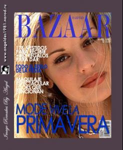 Fake_Cover_byAngel_055.jpg