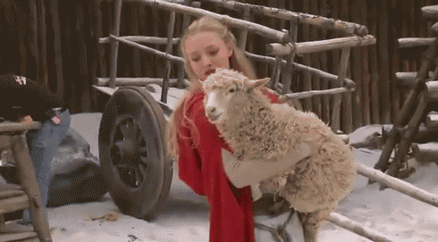 tumblr_licaprWI2s1qalu6bo1_500.gif