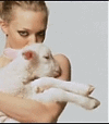 tumblr_lie0bzcIAh1qgx1uao1_100.gif