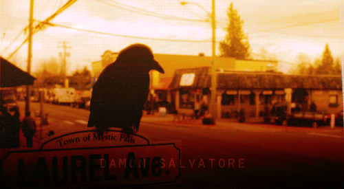 Damon-damon-salvatore-19978184-500-275.gif