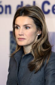 celebrity-paradise.com-The_Elder-Princess_Letizia_2010-01-25_-_opening_of_the_Research_and_Development.jpg