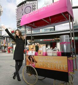 74619_celebrity_paradise.jpg