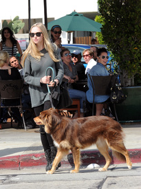 celebrity_paradise.com_TheElder_AmandaSeyfried2011_03_12_lunchattheUrthCafeinLA26.jpg