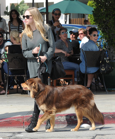 celebrity_paradise.com_TheElder_AmandaSeyfried2011_03_12_lunchattheUrthCafeinLA28.jpg