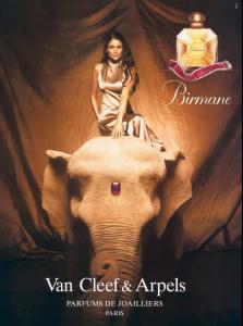 Birmane00.jpg