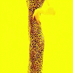 post-35528-0-1446080786-19454_thumb.gif
