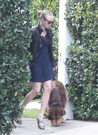 Amanda Seyfried - Walking her dog - Hollywood - 210212_001.jpg