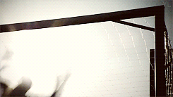 post-43537-0-1445992094-7346_thumb.gif