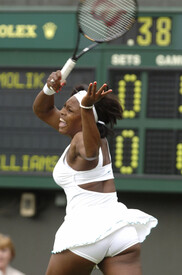 74417-serena2706071-122-710lo.jpg