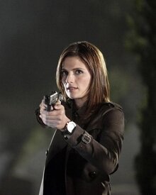 Stana Katic 2.jpg