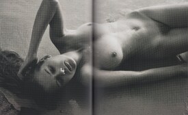 100_Great_Danes_Solveig_Mork_Hansen_04.jpg