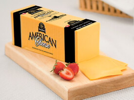 Image result for American cheese.jpg