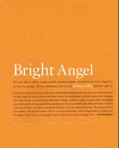 brightangel_01.jpg