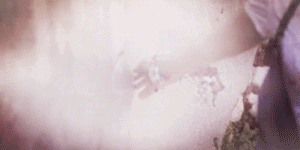 post-8541-0-1446090257-40799_thumb.gif