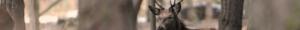 post-1004-0-1446095203-18183_thumb.jpg