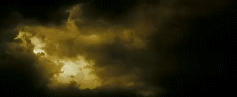 post-35528-1270088075_thumb.gif