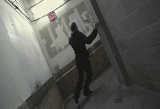 post-35528-1270520338_thumb.gif
