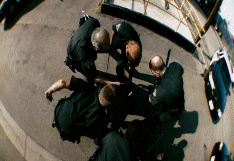 post-35528-1270520369_thumb.gif