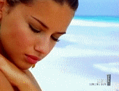 post-35528-1270695147_thumb.gif