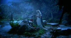 post-35528-1270779945_thumb.gif