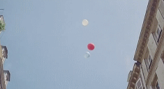 post-35528-1270780591_thumb.gif
