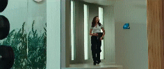 post-35528-1271299414_thumb.gif