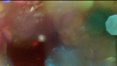 post-35528-1271385428_thumb.gif