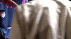 post-35528-1271640190_thumb.gif