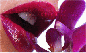 post-5861-1270136373_thumb.gif
