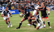th_3e66ce77923978.gif