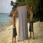 post-35528-0-1446069084-97067_thumb.gif