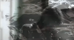post-35528-1301626050_thumb.gif