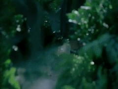 post-35528-1302225151_thumb.gif