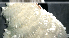 post-44557-0-1446070299-55608_thumb.gif