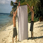 post-49177-0-1446069091-71083_thumb.gif